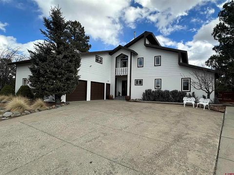 Photo of 326 Mesa Drive, Pagosa Springs, CO 81147 (MLS # 832121)