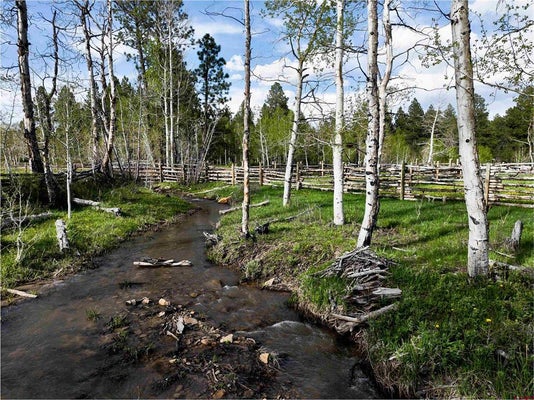 RD N, MANCOS, CO 81328 - Image 3ab9faa753c4e32cf76a57c4a628dfcc/131881822