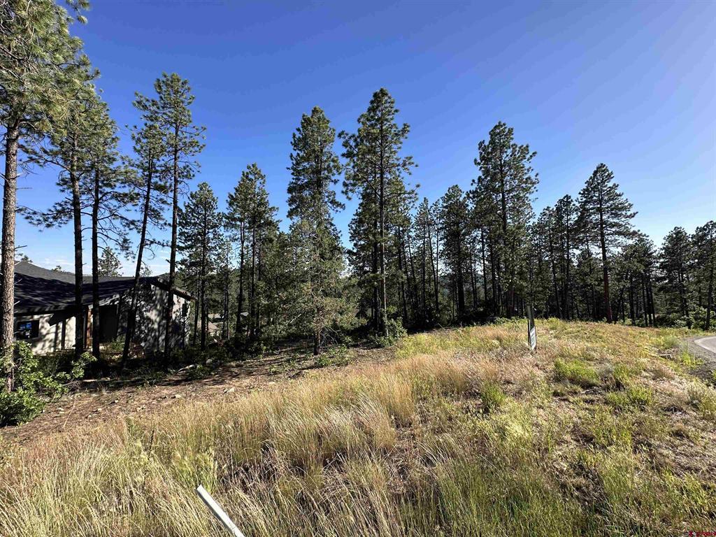 72 Cabin Creek Drive