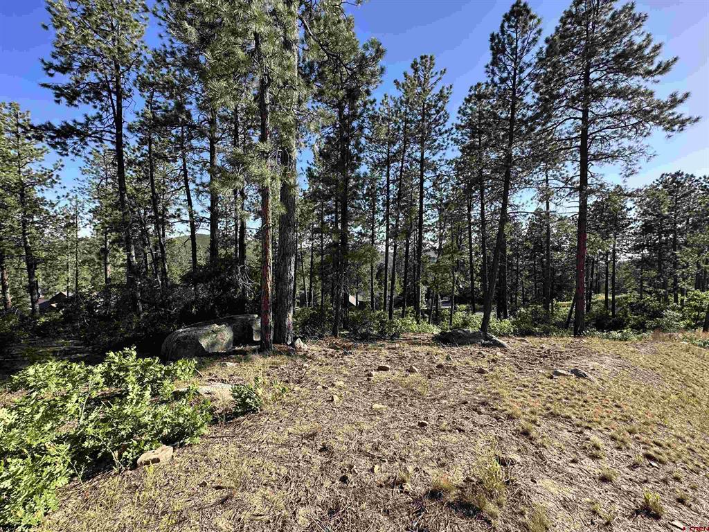 72 Cabin Creek Drive
