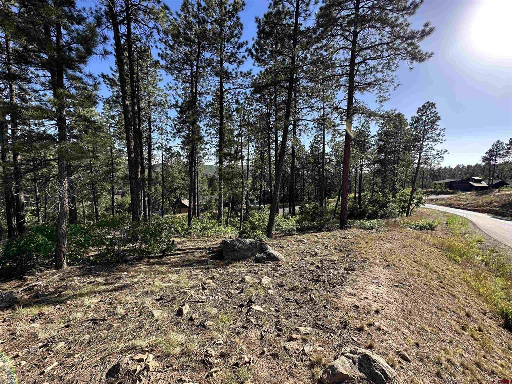 72 Cabin Creek Drive