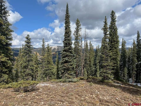Photo of 400 Forest Service Road 550 Road, Almont, CO 81210 (MLS # 836926)