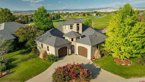 474 Cobble Drive Montrose CO 81403
