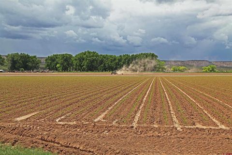 Photo of 1 Shavano Valley Rd, Montrose, CO 81403 (MLS # 831800)