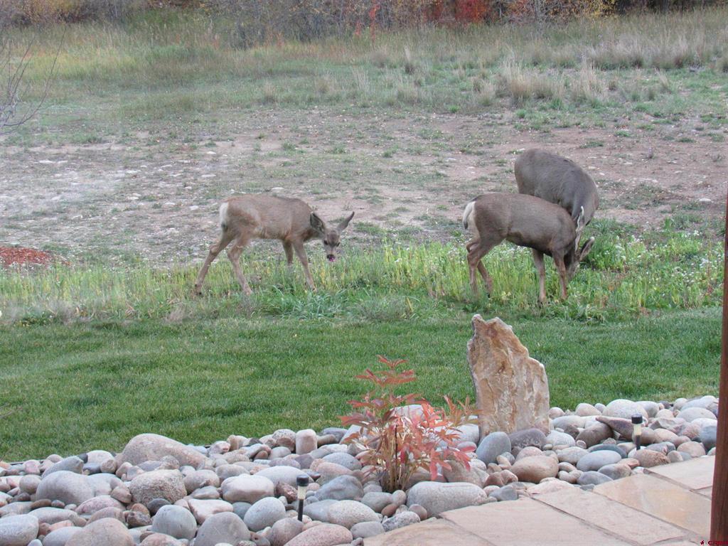 Gunnison, Colorado 81230, United States, 3 Bedrooms Bedrooms, ,2 BathroomsBathrooms,Residential,Active,227455