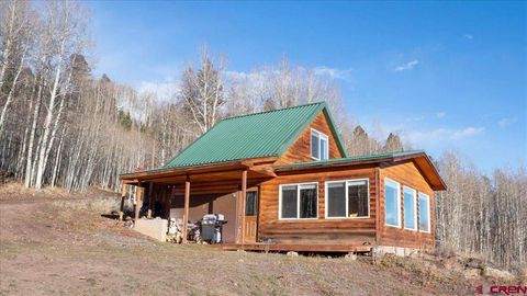 1901 Armitage Springs Road Powderhorn CO 81243