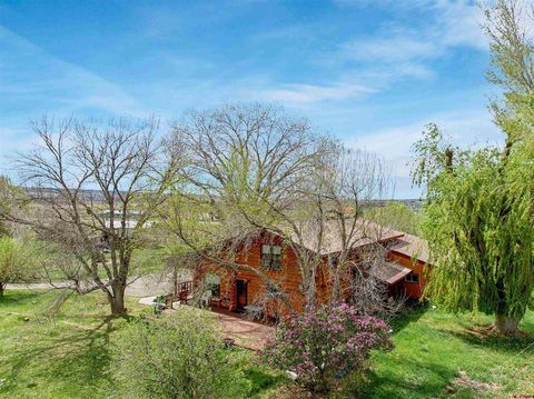 Photo of 9709 3605 Road, Hotchkiss, CO 81415 (MLS # 834007)