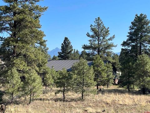 29 Monastery Court Pagosa Springs CO 81147