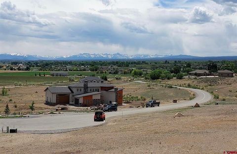Photo of 9 Lone Eagle Road, Montrose, CO 81403 (MLS # 830929)