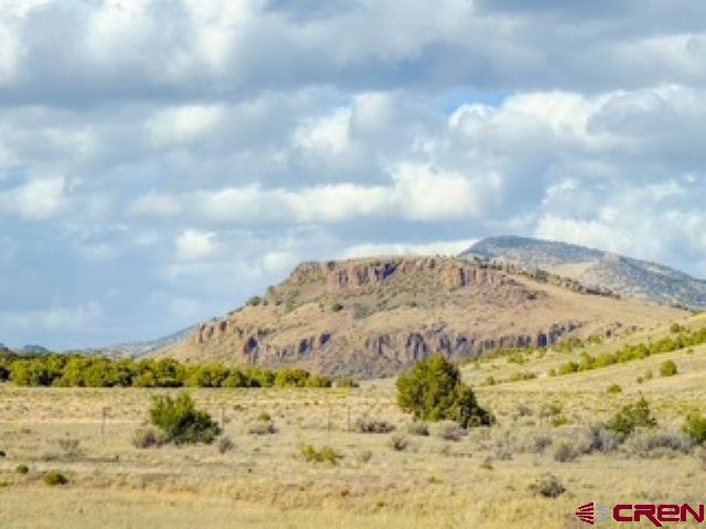 553 Pfeiffer Loop