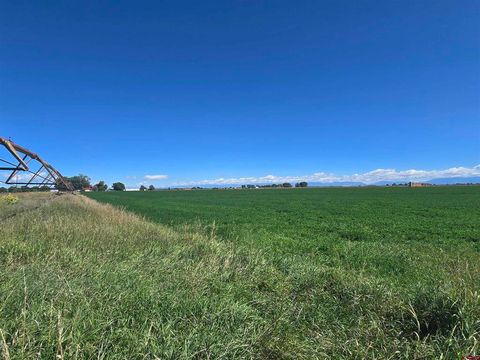 TBD S County Road 4 E Monte Vista CO 81144