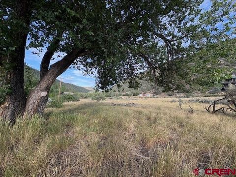 X Montezuma Circle Pagosa Springs CO 81147