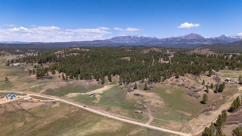 2054 Snowball Pagosa Springs CO 81147