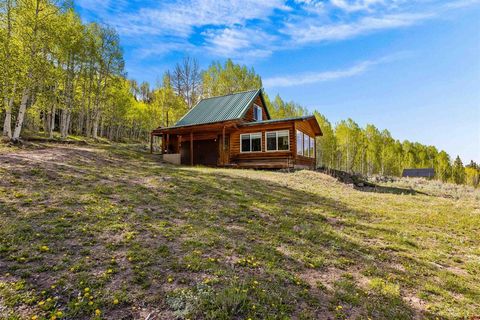 Photo of 1901 Armitage Springs Road, Powderhorn, CO 81243 (MLS # 835074)