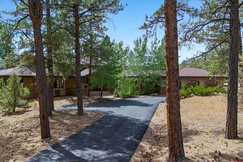 51 Shenandoah Circle Durango CO 81303