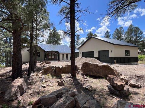66 Antelope Pagosa Springs CO 81147