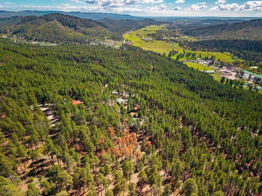 20 ELK DR, BAYFIELD, CO 81122 - Image 3de9e4f9dd29663f577f6ee52dff9018/344786815