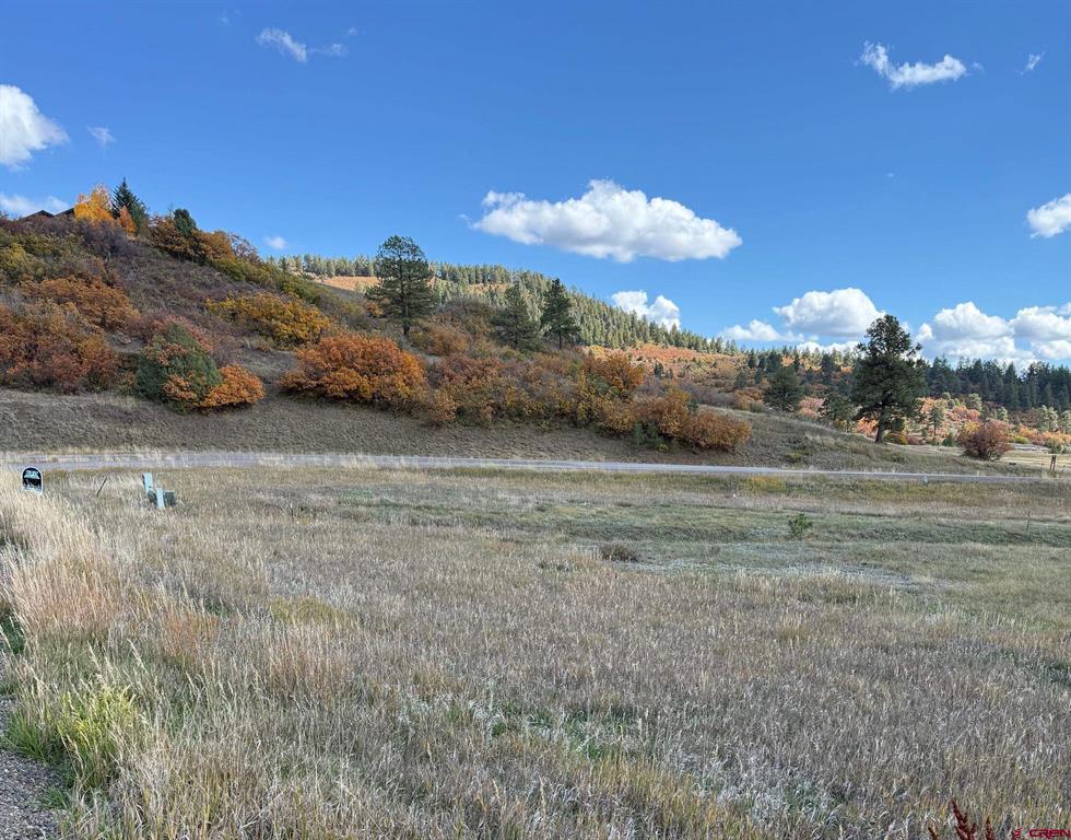 Photo 1 of 9 — 232 Santino Place, Pagosa Springs, CO 81147