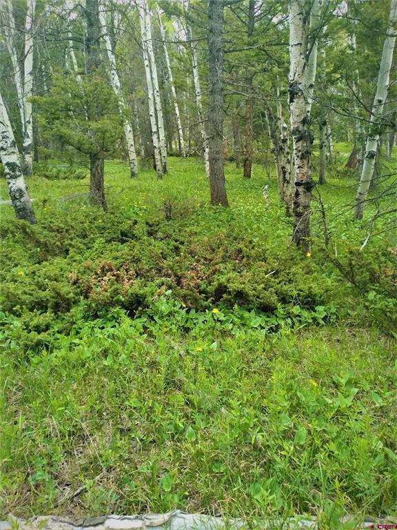 Photo 1 of 5 — 525 Crest Drive, Cimarron, CO 81220