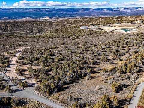Photo of 15369 2525 Road, Cedaredge, CO 81413 (MLS # 830150)