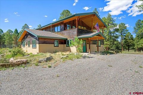 Photo of 66 Blue Stem Rd, Ridgway, CO 81432 (MLS # 832199)