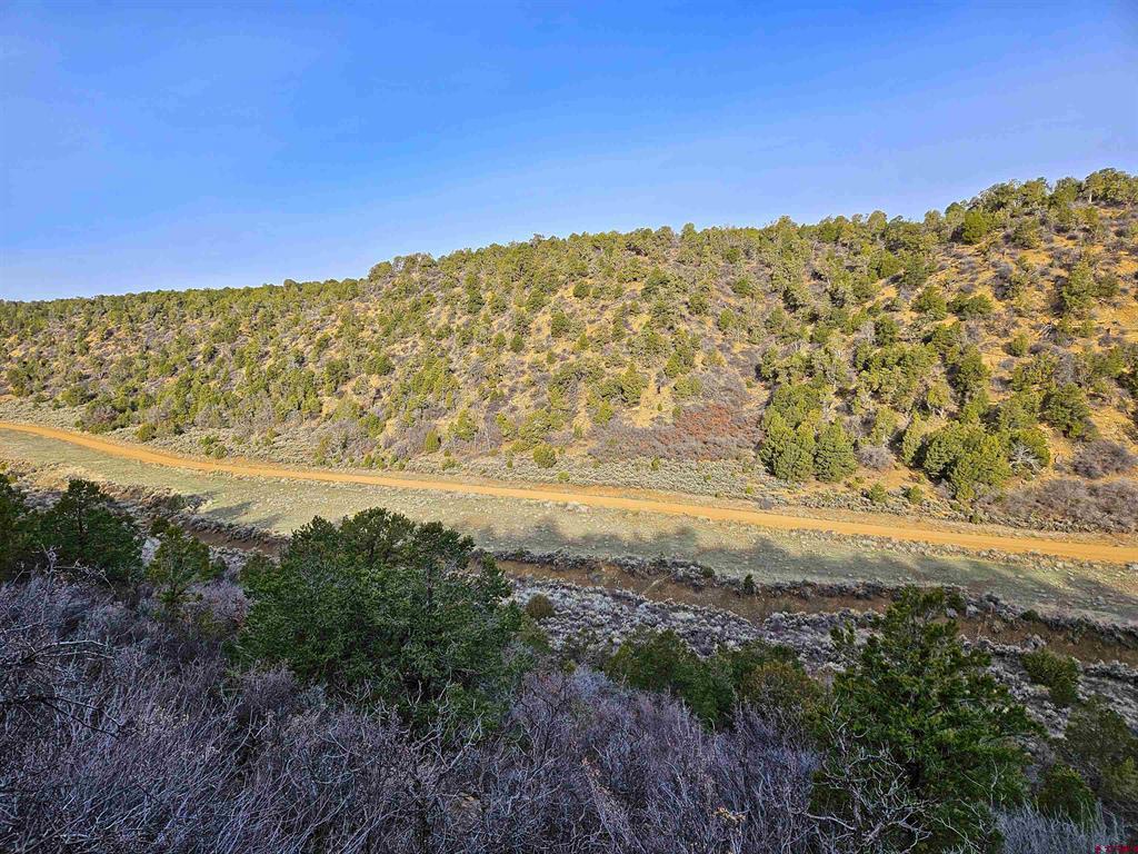 TBD De Oro Way Lot 9