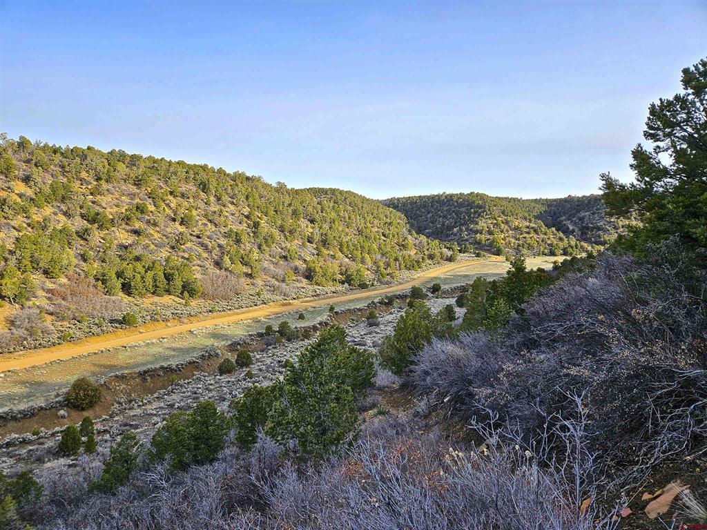 TBD De Oro Way Lot 9