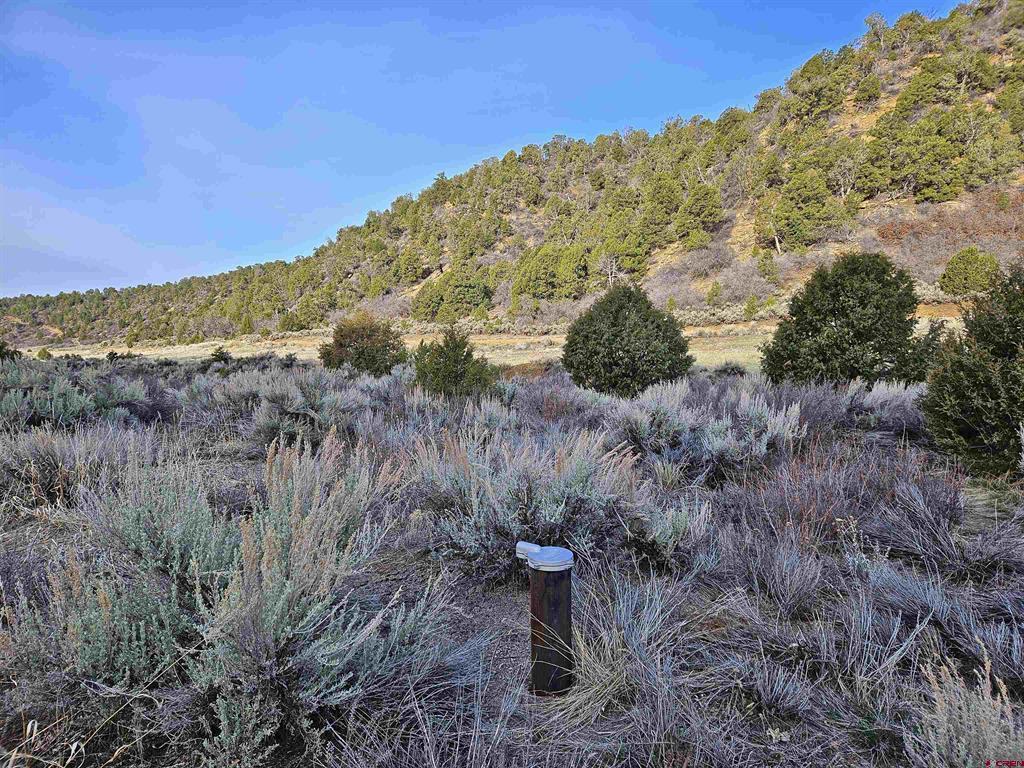 TBD De Oro Way Lot 9