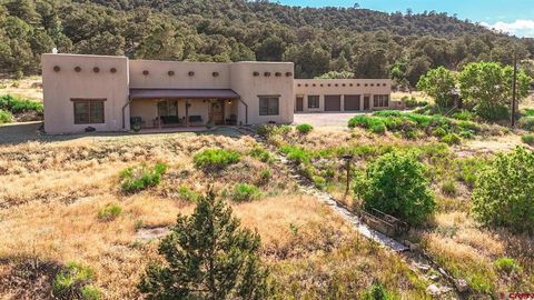 693 County Road 572 Gardner CO 81089