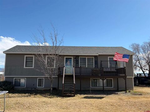Photo of 20 Colorado Avenue, Montrose, CO 81401 (MLS # 832260)