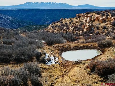 11204 Hwy 141 Egnar CO 81325