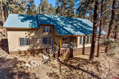 700 Blue Ridge Drive Bayfield CO 81122