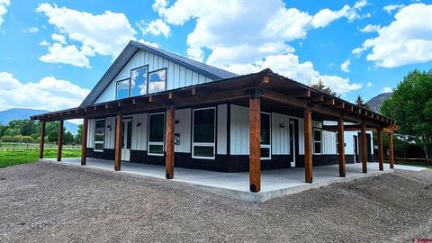 81 Rio Vista Circle South Fork CO 81154