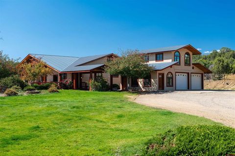 543 Silver Hills Road Bayfield CO 81122