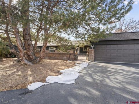 Photo of 1022 Phillips Court #C, Montrose, CO 81401 (MLS # 831293)