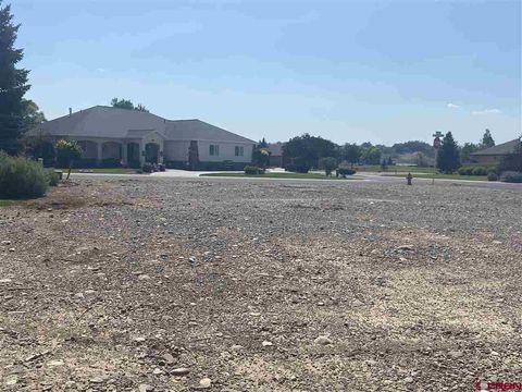 Lot C-5 Cobble Drive Montrose CO 81401