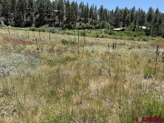 10750 W HIGHWAY 160, PAGOSA SPRINGS, CO 81147 - Image 40e557f7fca23af9ed7ca2acb030e4e9/915212108