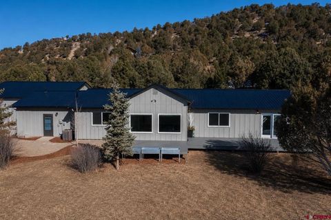 Photo of 711 Terrace Drive, Ridgway, CO 81432 (MLS # 834517)