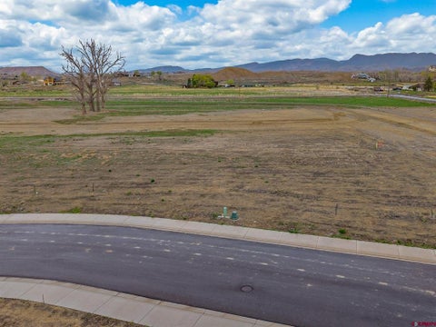 Photo of 16 Apple Grove Street, Montrose, CO 81401 (MLS # 838716)
