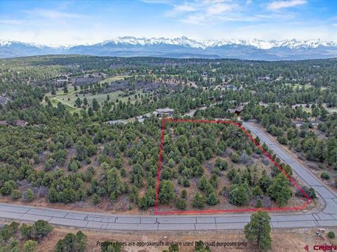 Photo of TBD Cottontail Lane, Ridgway, CO 81432 (MLS # 832996)