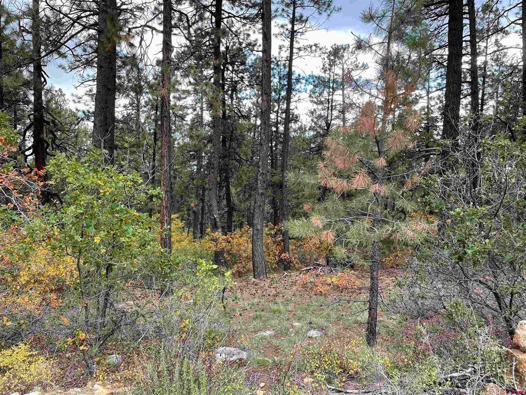 366 & 394 Pine Ridge Drive