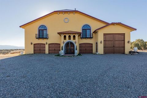 19754 DAVE WOOD Road Montrose CO 81403