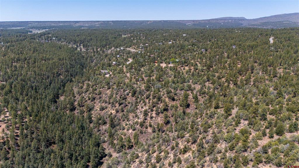 275 Logging Trail Road