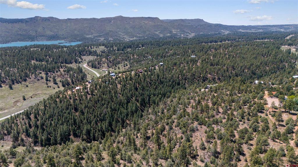 275 Logging Trail Road