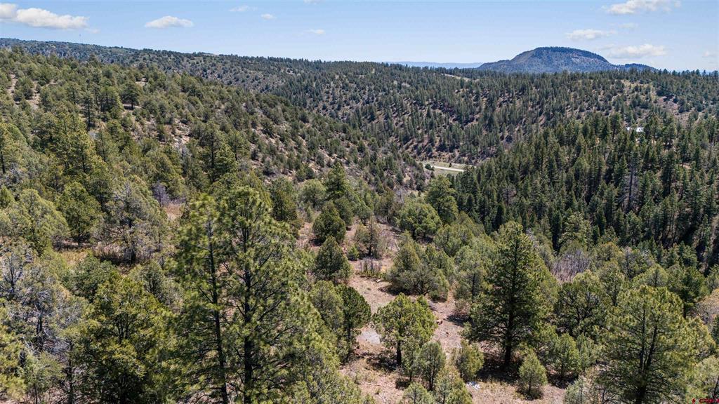 275 Logging Trail Road