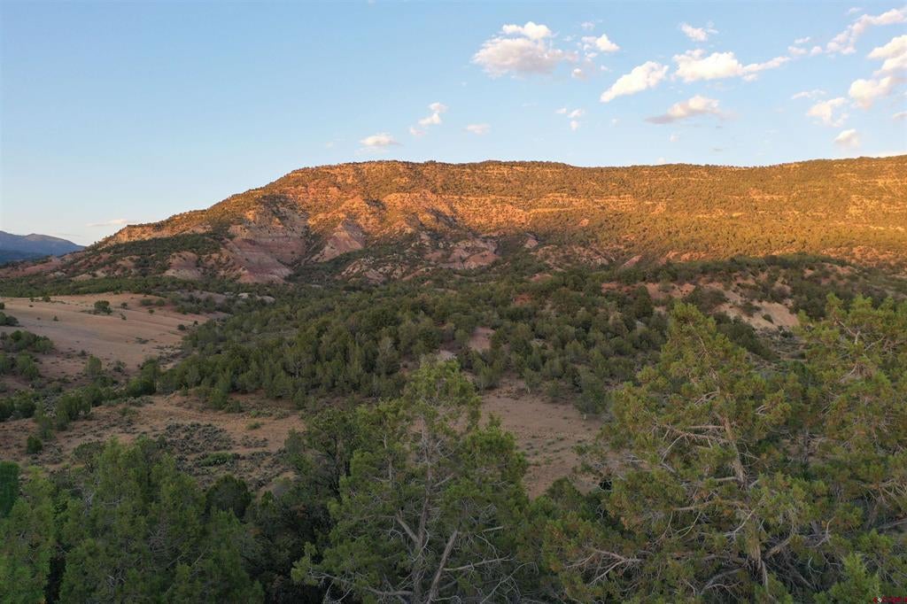 15590 Red Mountain Lane