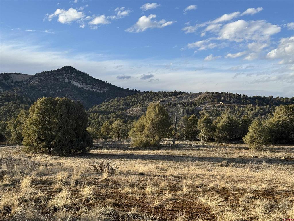 Durango, Colorado, 81301, United States, 4 Bedrooms Bedrooms, ,4 BathroomsBathrooms,Residential,Active,2031770
