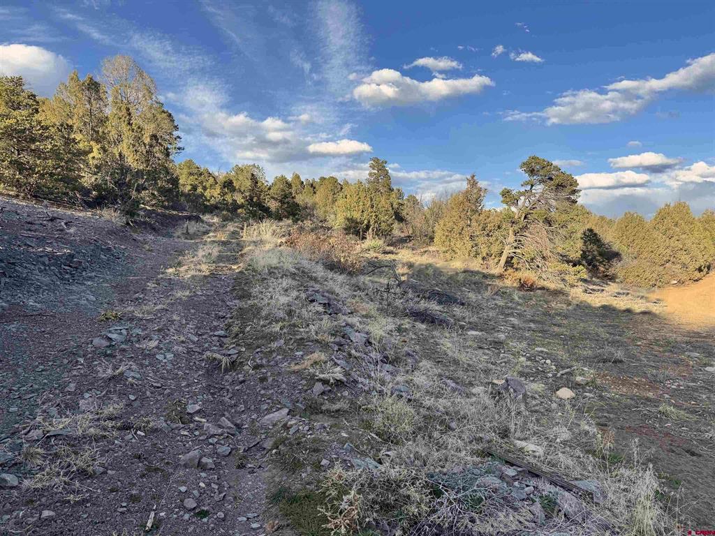 Durango, Colorado, 81301, United States, 4 Bedrooms Bedrooms, ,4 BathroomsBathrooms,Residential,Active,2031770