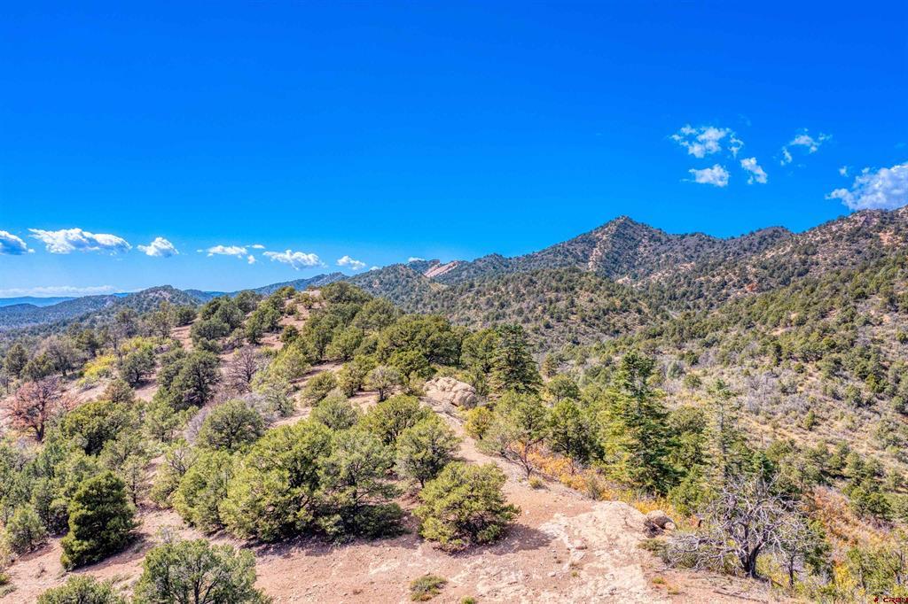 1050 Turkey Trot Lane