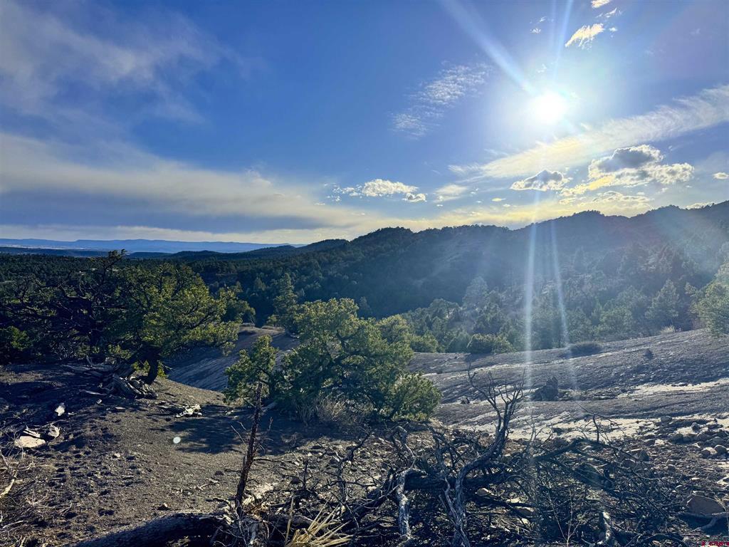 1050 Turkey Trot Lane